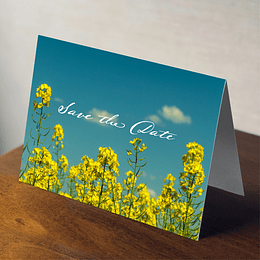 5" x 7" Greeting Cards
