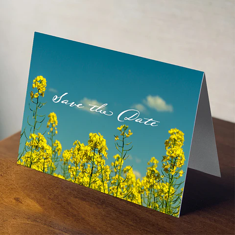 14pt Premium Greeting Cards (5" x 7")