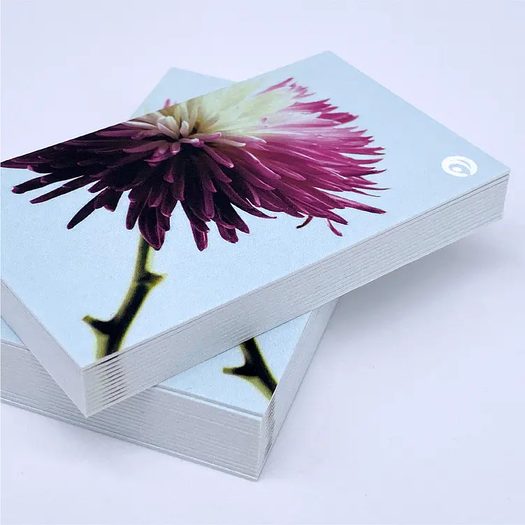 38pt UltraWhite Business Cards 1