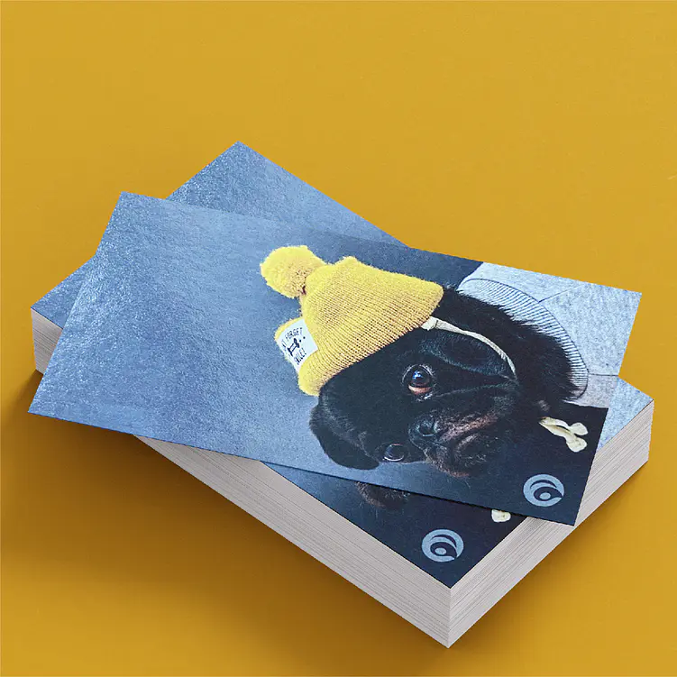 16pt Premium Business Cards 1