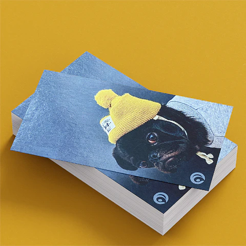 16pt Premium Business Cards