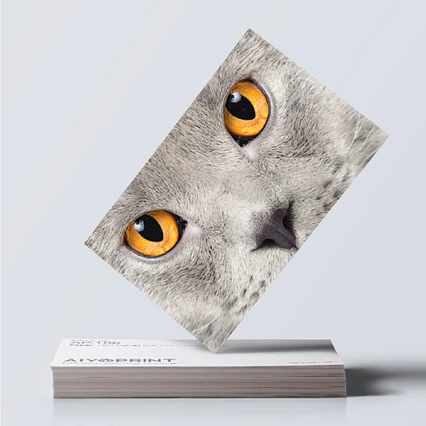 15pt Velvet Soft Touch Business Cards (Uncoated)