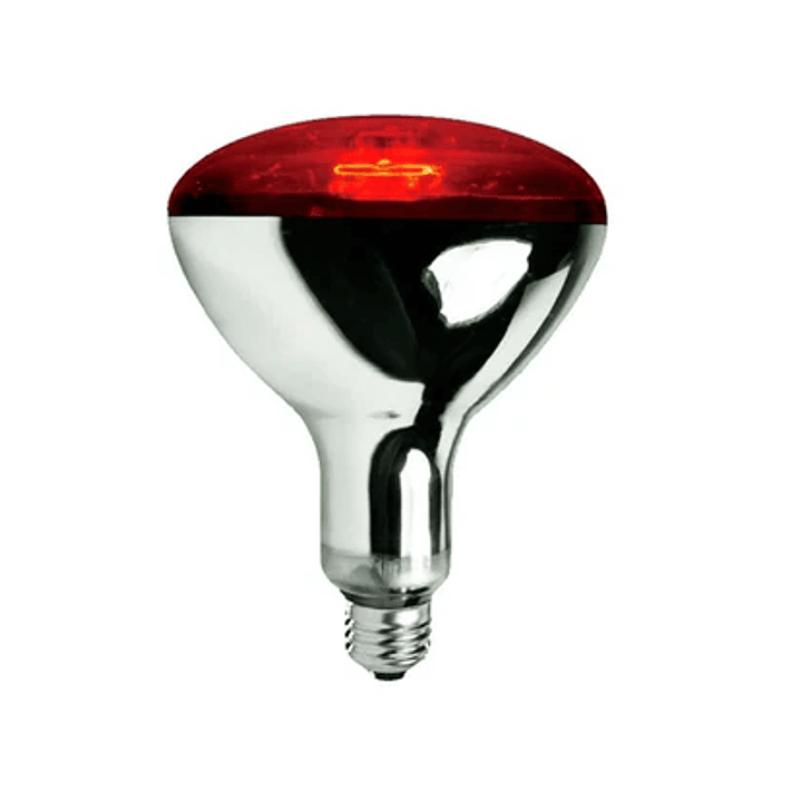 Ampolleta infrarroja 250W E27. Ideal para fisioterapia, alivio muscular, crianza de animales, calefacción, etc. 1
