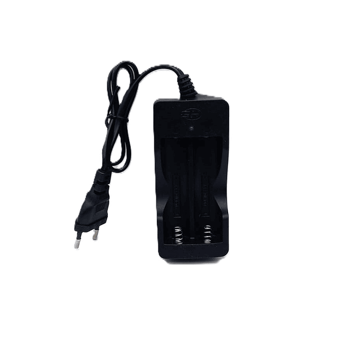 Cargador de pilas 18650 Dual Slot | Recarga Segura + Compatible con Litio | Ajelec Electrónica 1