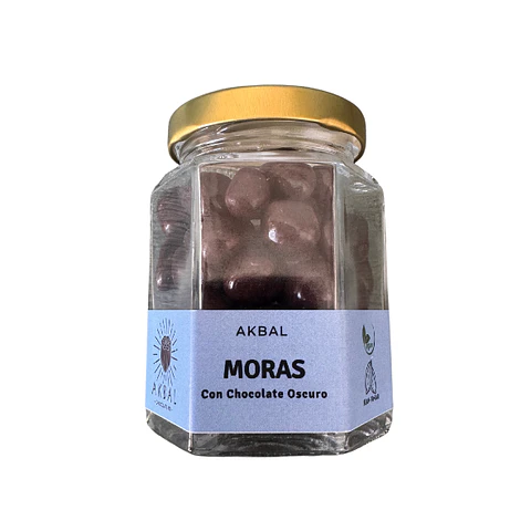 Moras con chocolate oscuro