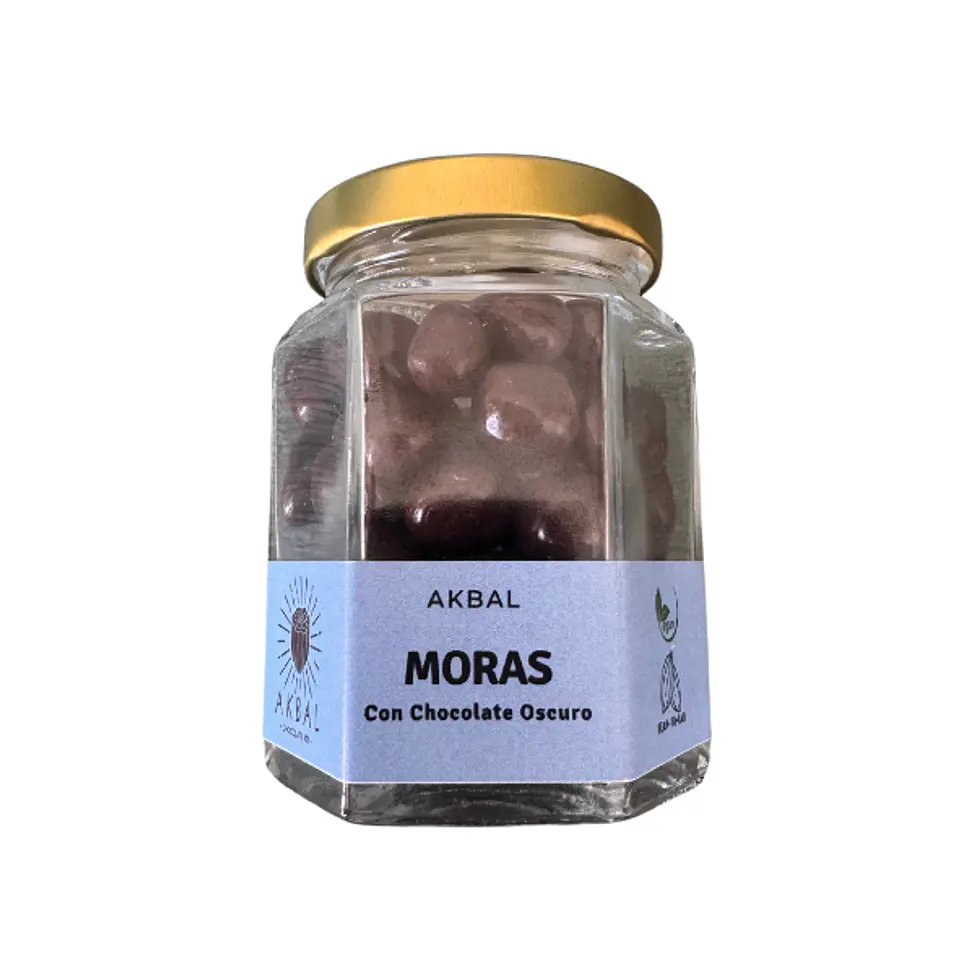Moras con chocolate oscuro 1