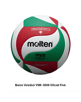 mikasa Pelota De Voleibol original Oficial/Molten Tamaño 5 v300w