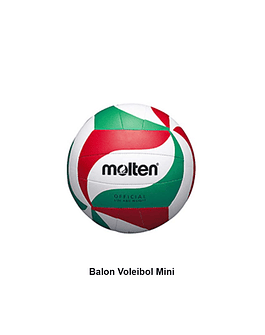 Balon Voleibol Mini