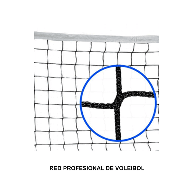 Red Profesional de Voleibol Molten