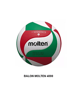 Balon Voleibol V5M 4000