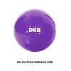 Balon de gimnasia liso