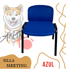 Silla ISO Meeting
