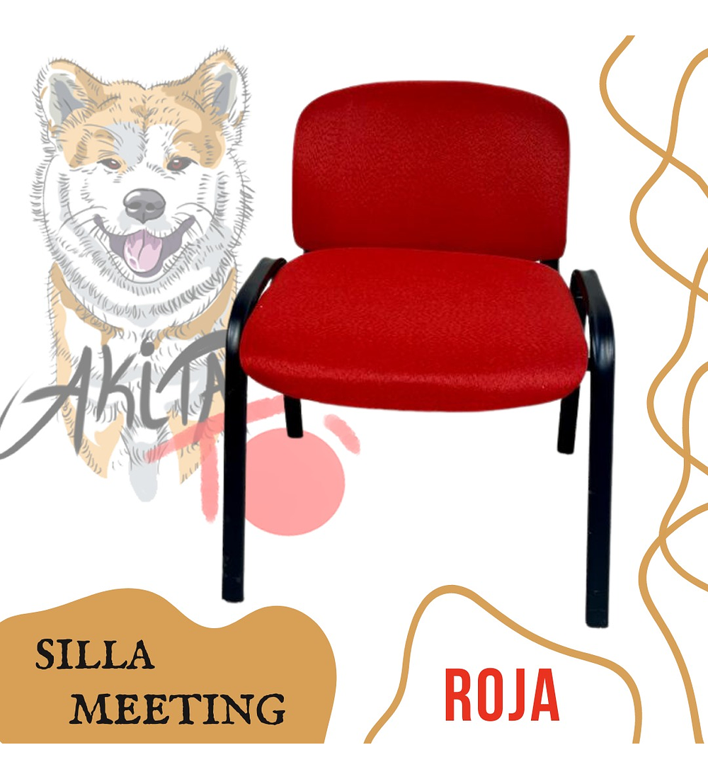Silla ISO Meeting