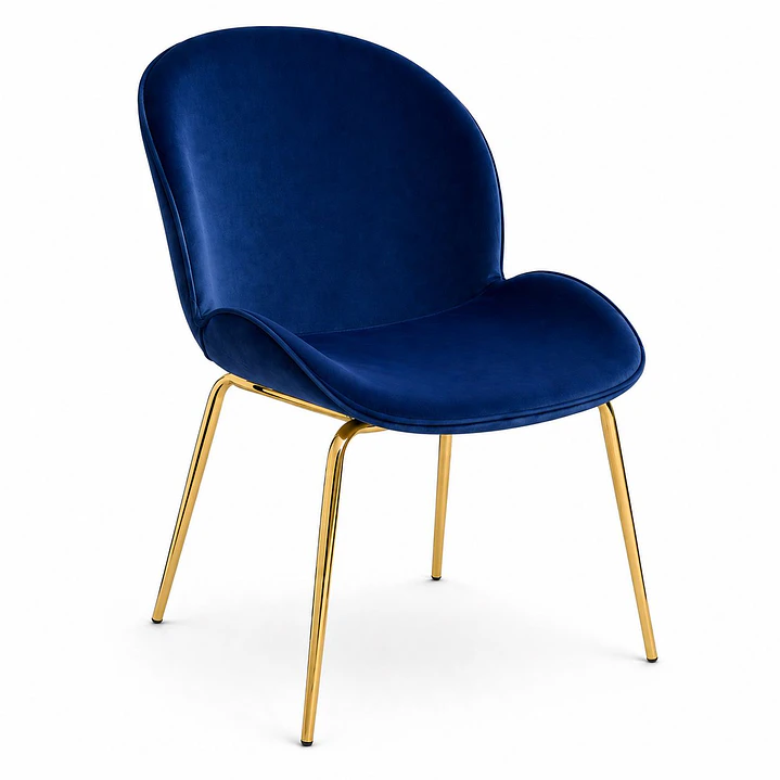 Silla Bettle  2