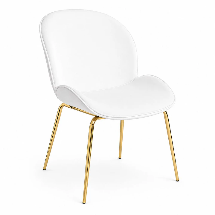 Silla Bettle  3