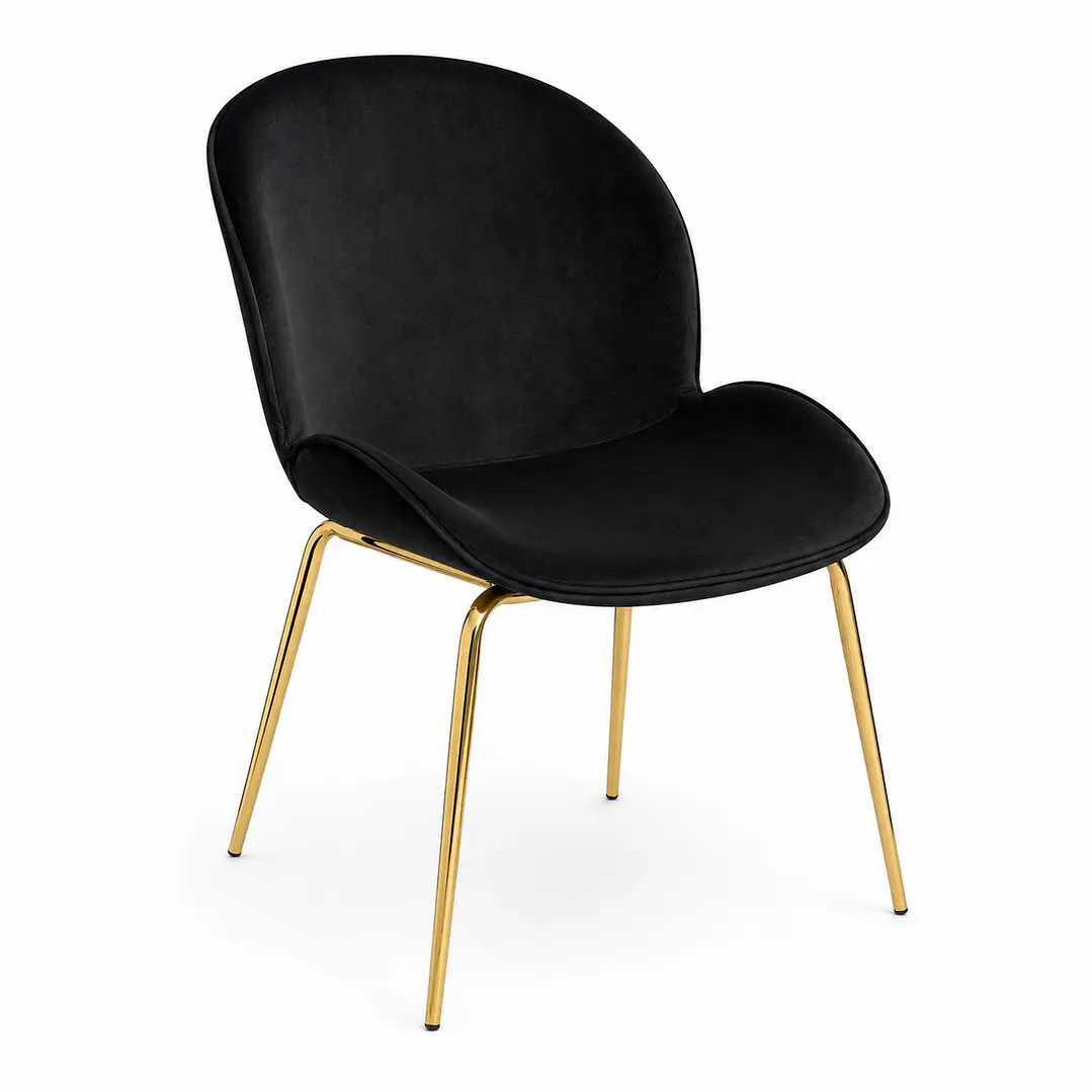 Silla Bettle  4