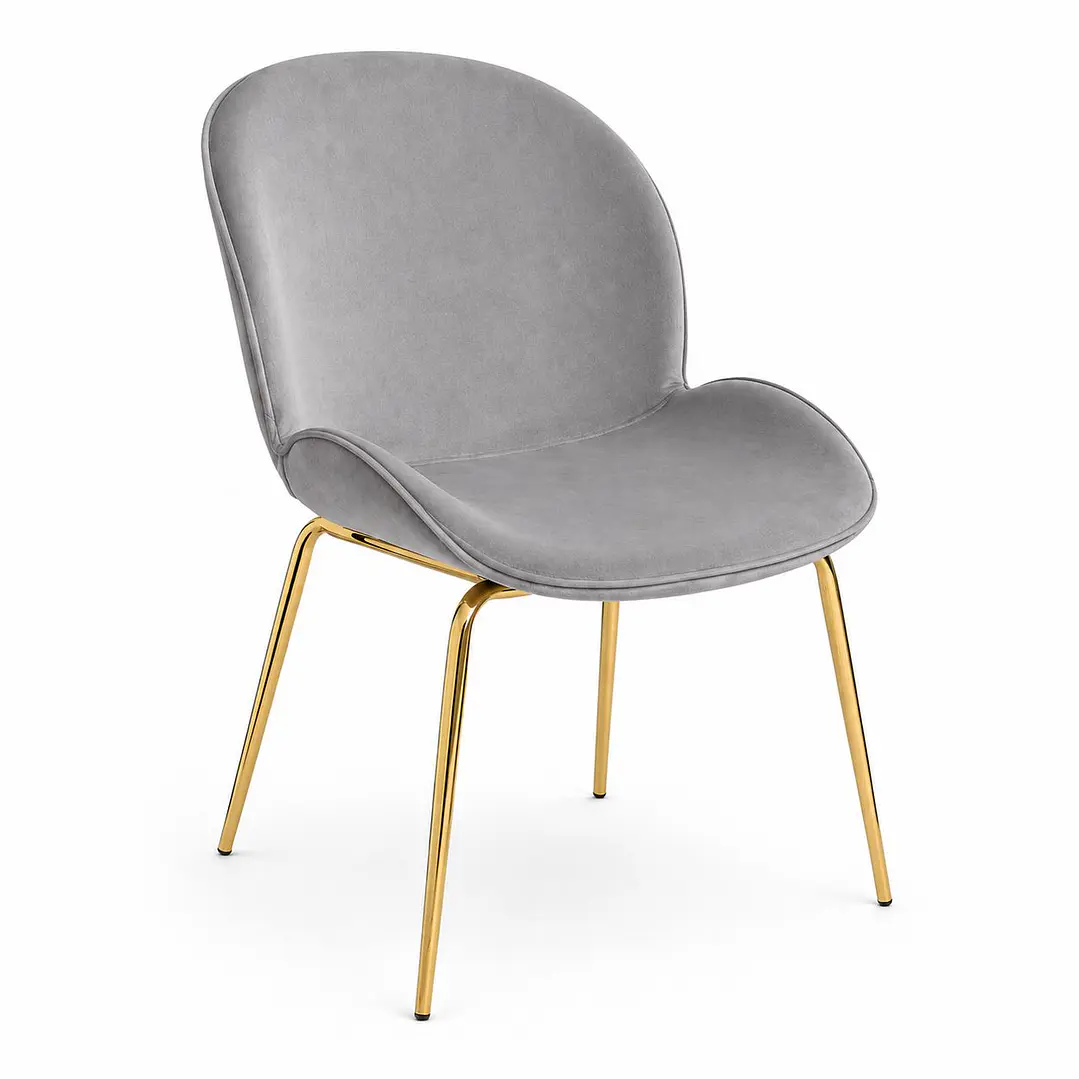 Silla Bettle  5