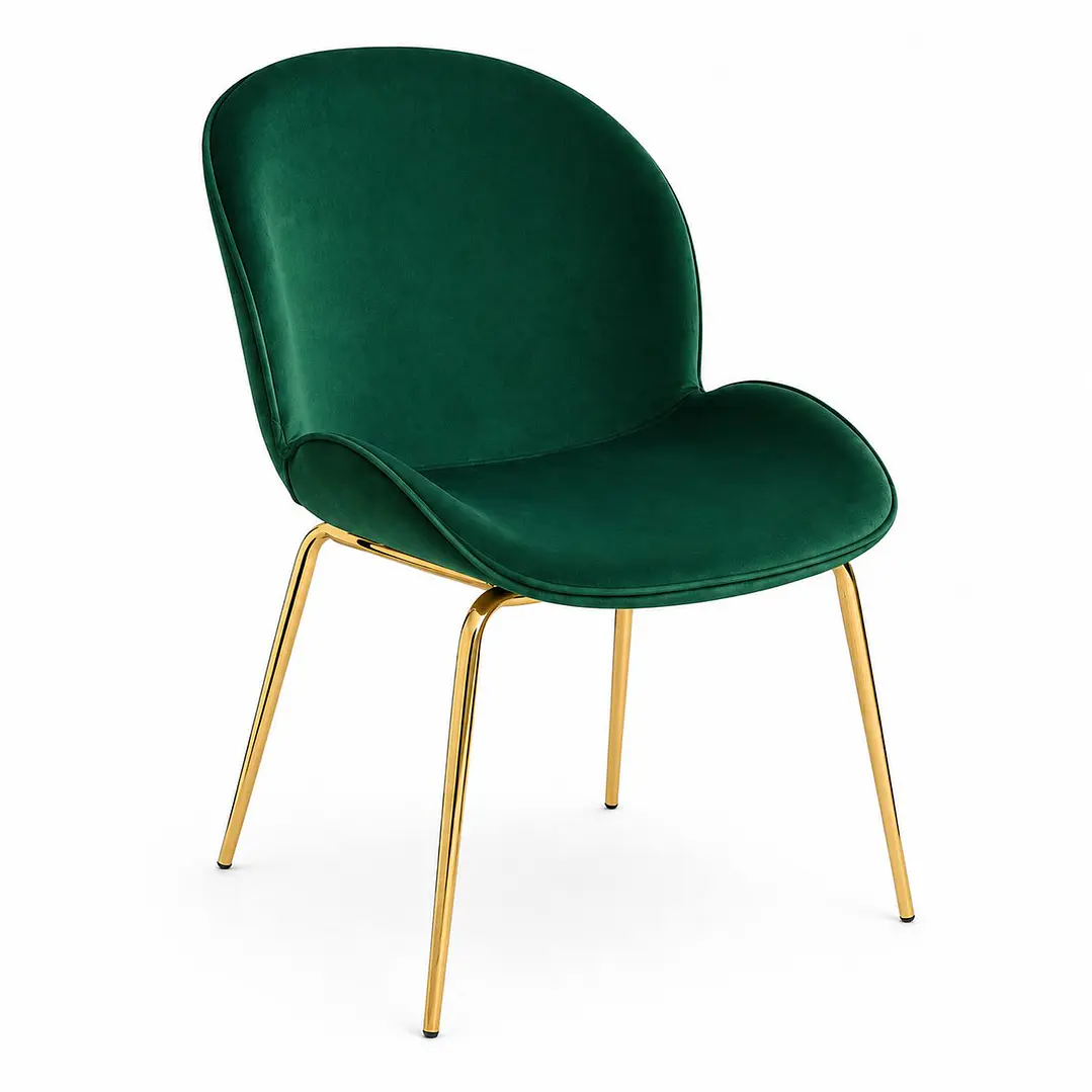 Silla Bettle  1