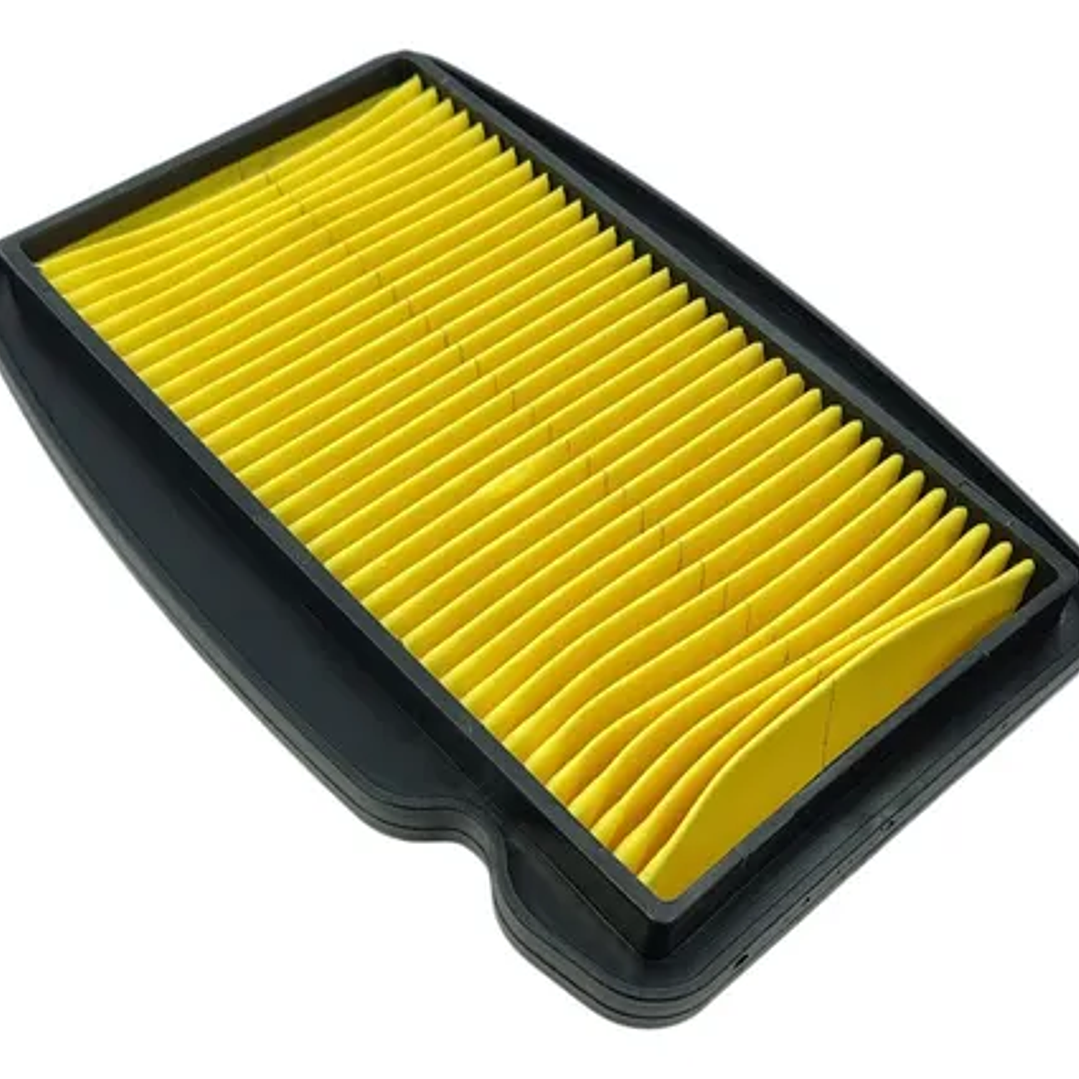 FILTRO AIRE 250R 1