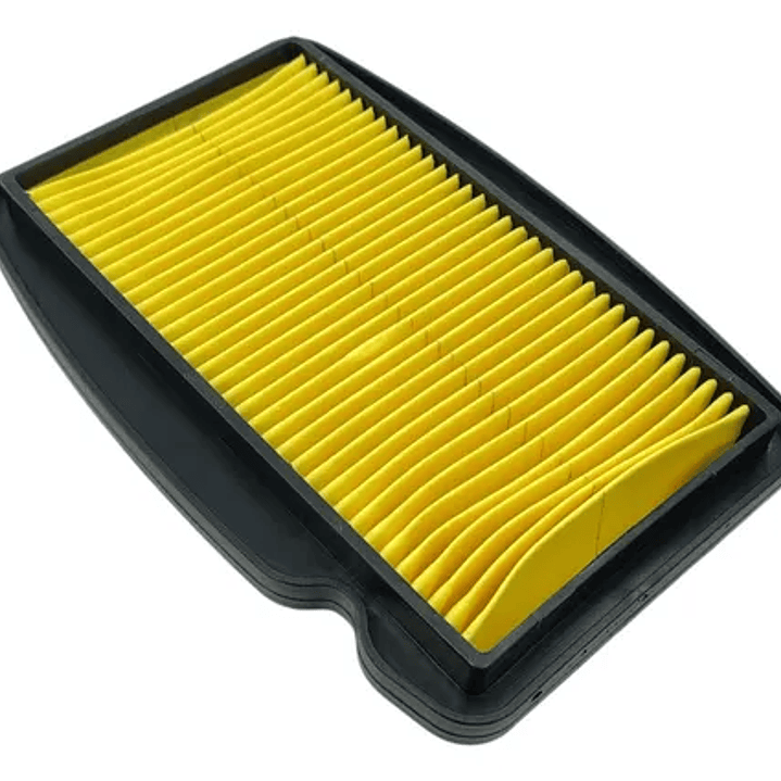 FILTRO AIRE 250R 1