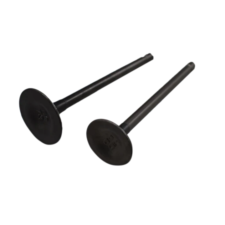 KIT VALVULAS CR4 125 CGR  RP 1
