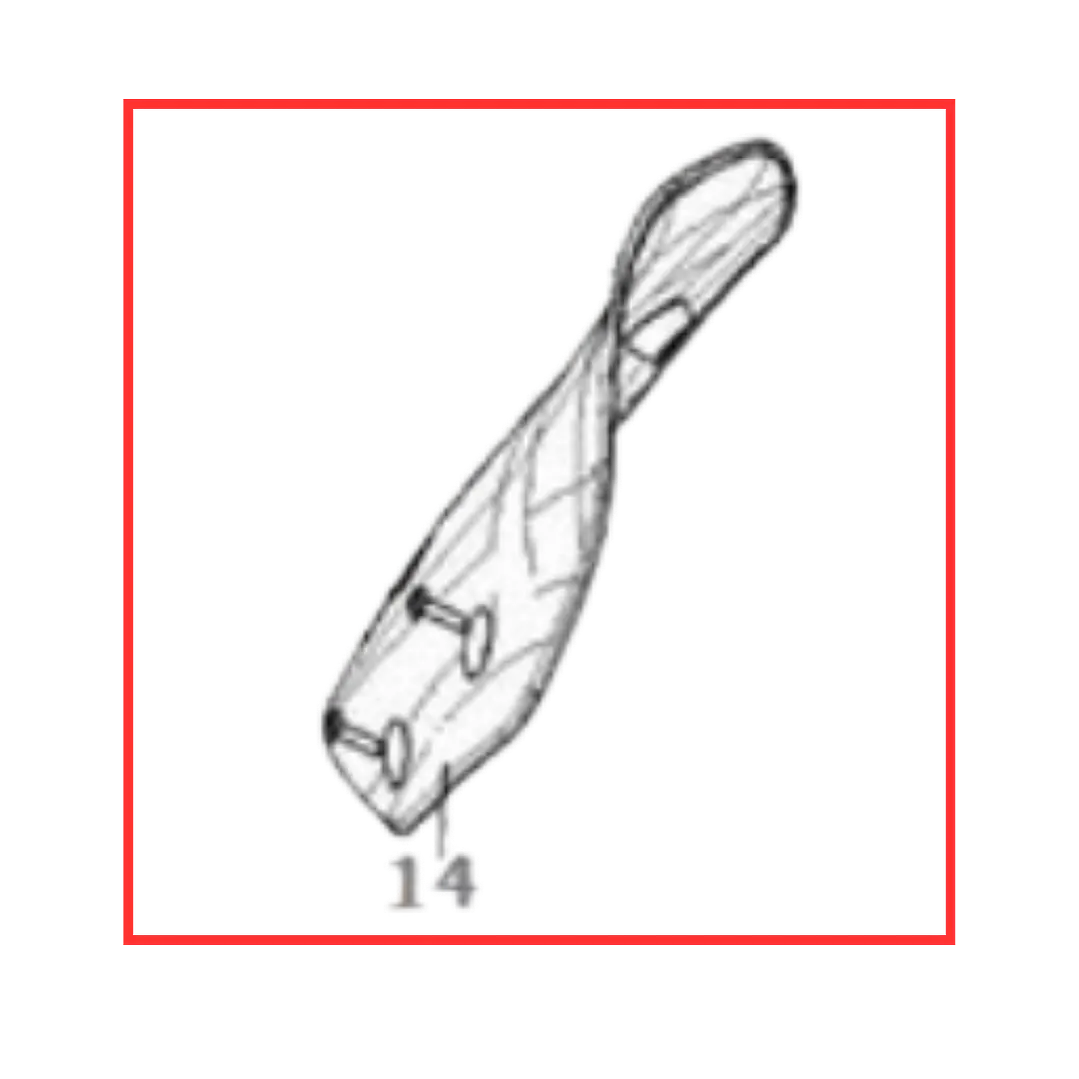 CUPULA DE VOGUE 300 DS 1