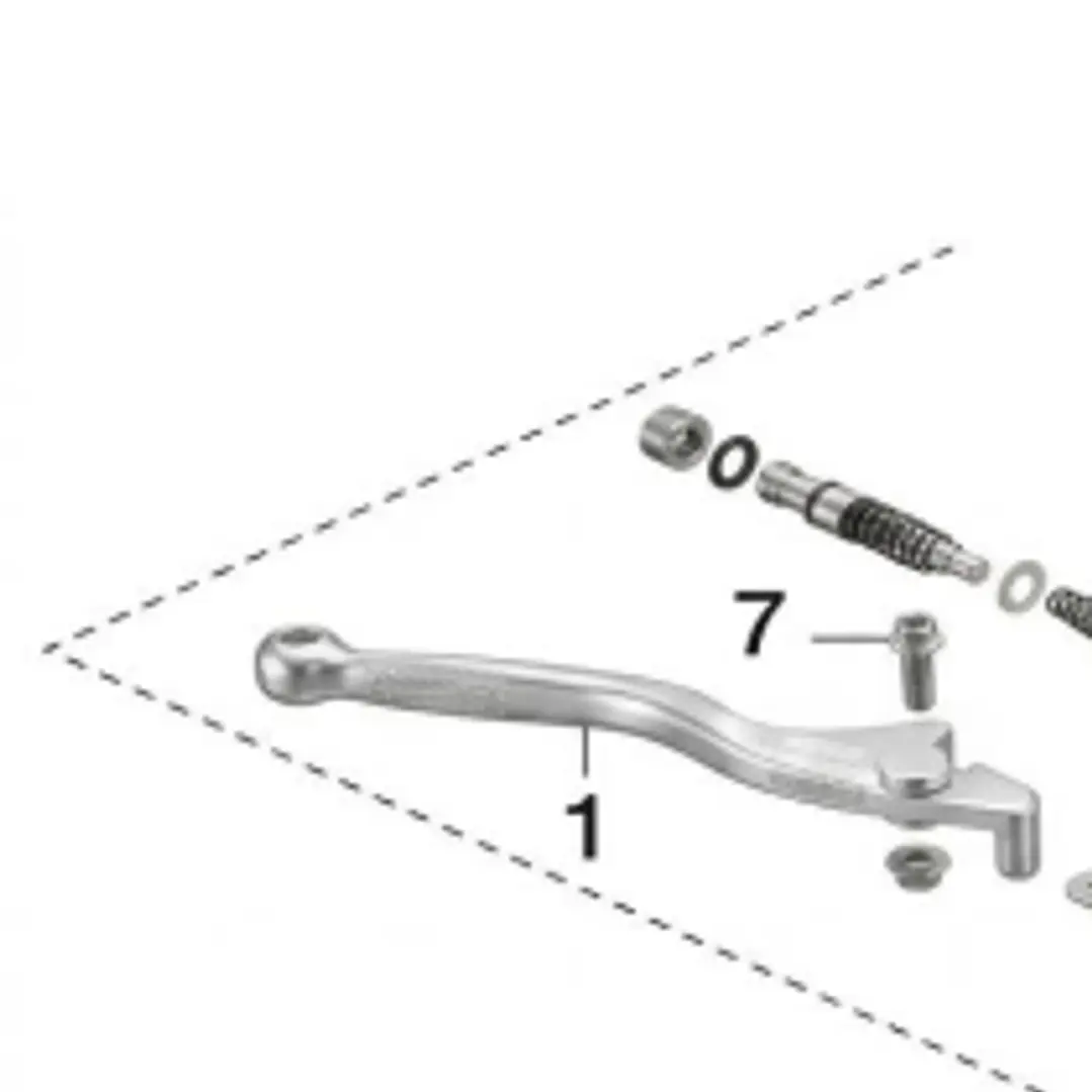 Manigueta Der TTR 1