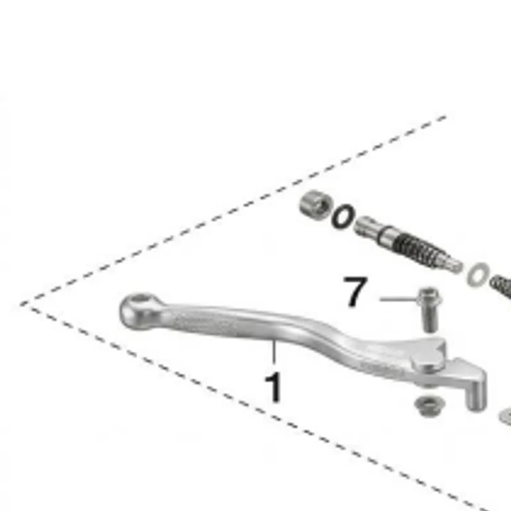 Manigueta Der TTR 1