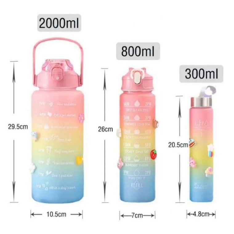 Pack 3 Botellas Plasticas 3