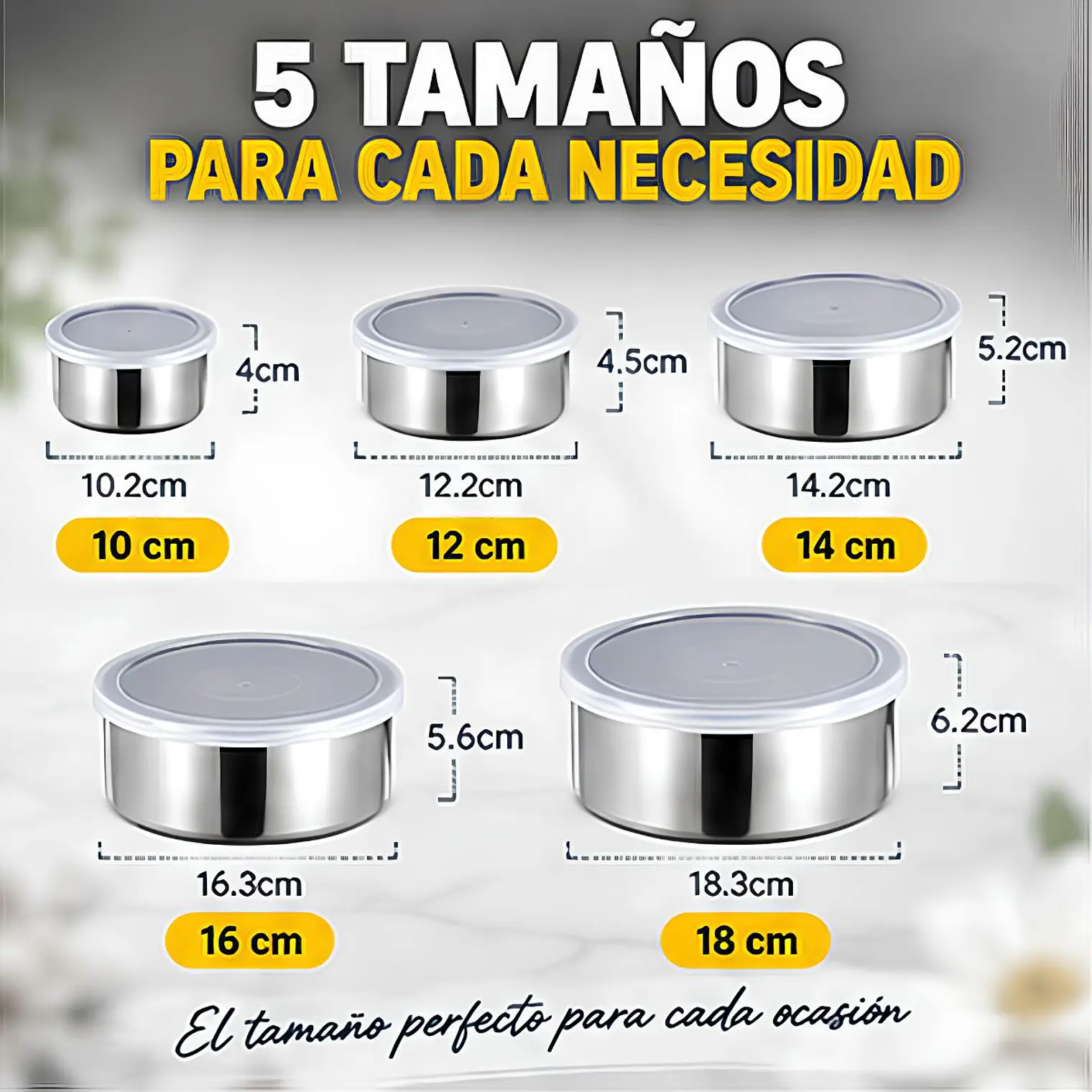 Juego de 5 Recipientes Acero Inoxidable Con Tapa Plástica 9