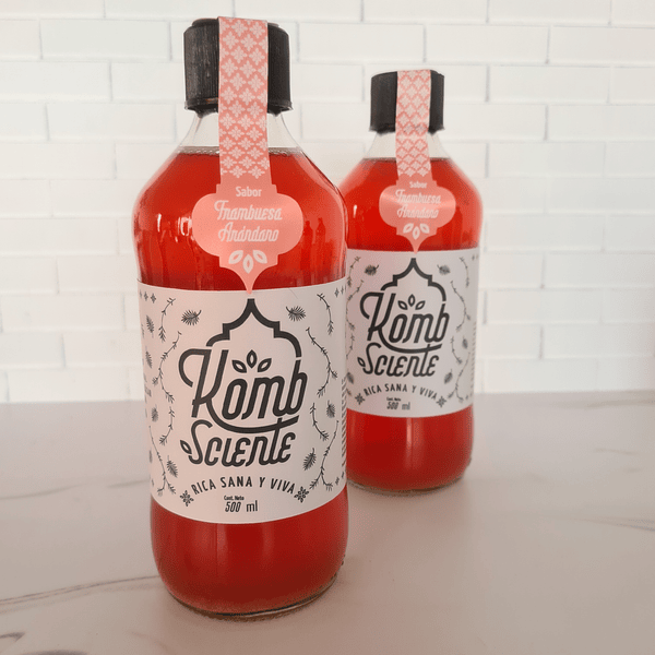 Kombucha Frambuesa Arándano  4 x 500 ml 