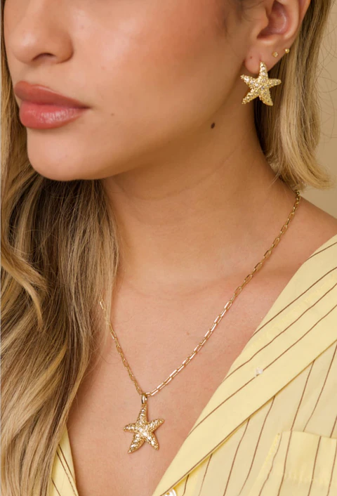 Set de Collar de Eslabones y Aretes de Estrella de Mar
