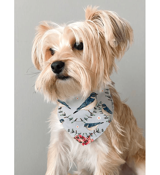 COLLAR BANDANA PARA MASCOTA GOLONDRINAS