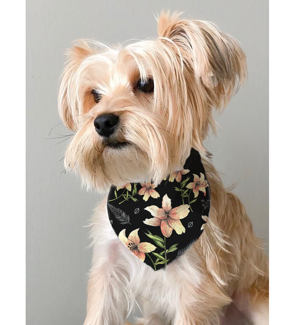 COLLAR BANDANA PARA MASCOTAS FLORES NEGRO 