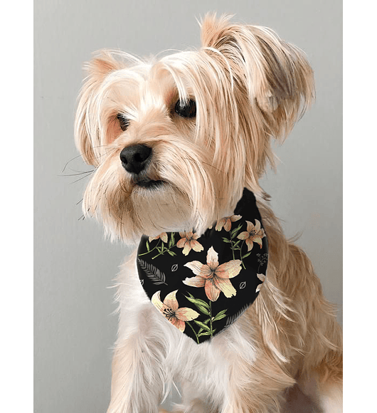 COLLAR BANDANA PARA MASCOTAS FLORES NEGRO 