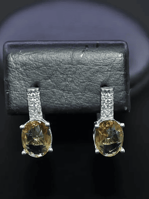 Aretes Ovalados con Circones y Sultanita