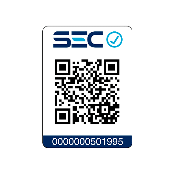 Estufa a Leña Patagonia 480 Gris con Kit 6