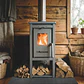 Estufa a Leña Patagonia 350+ - Miniatura 2