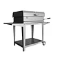 Parrilla a Carbón Maihue - Miniatura 4