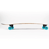 Cosmos Cutback 37.5"