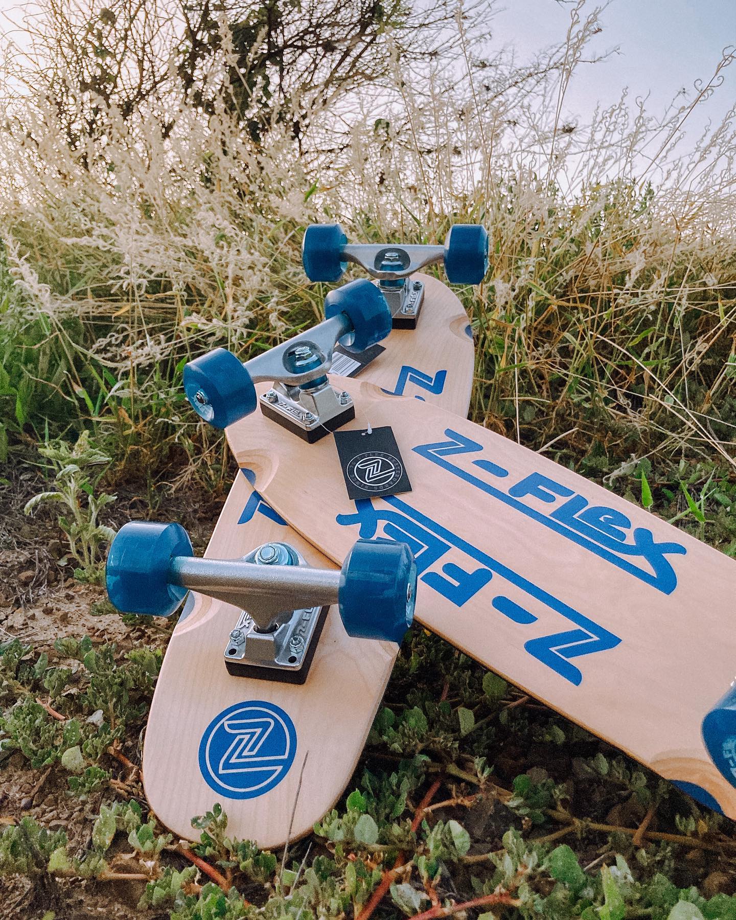 Z Flex Retro Classic 27