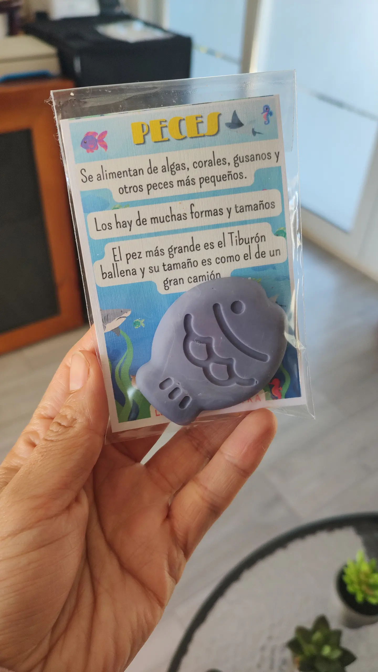 Recuerdos 1