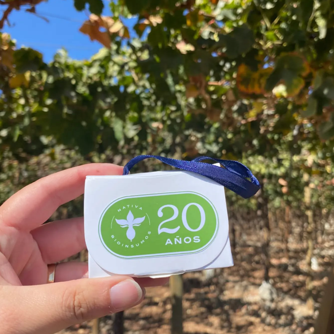 Caja 28g- 2 bombones 2