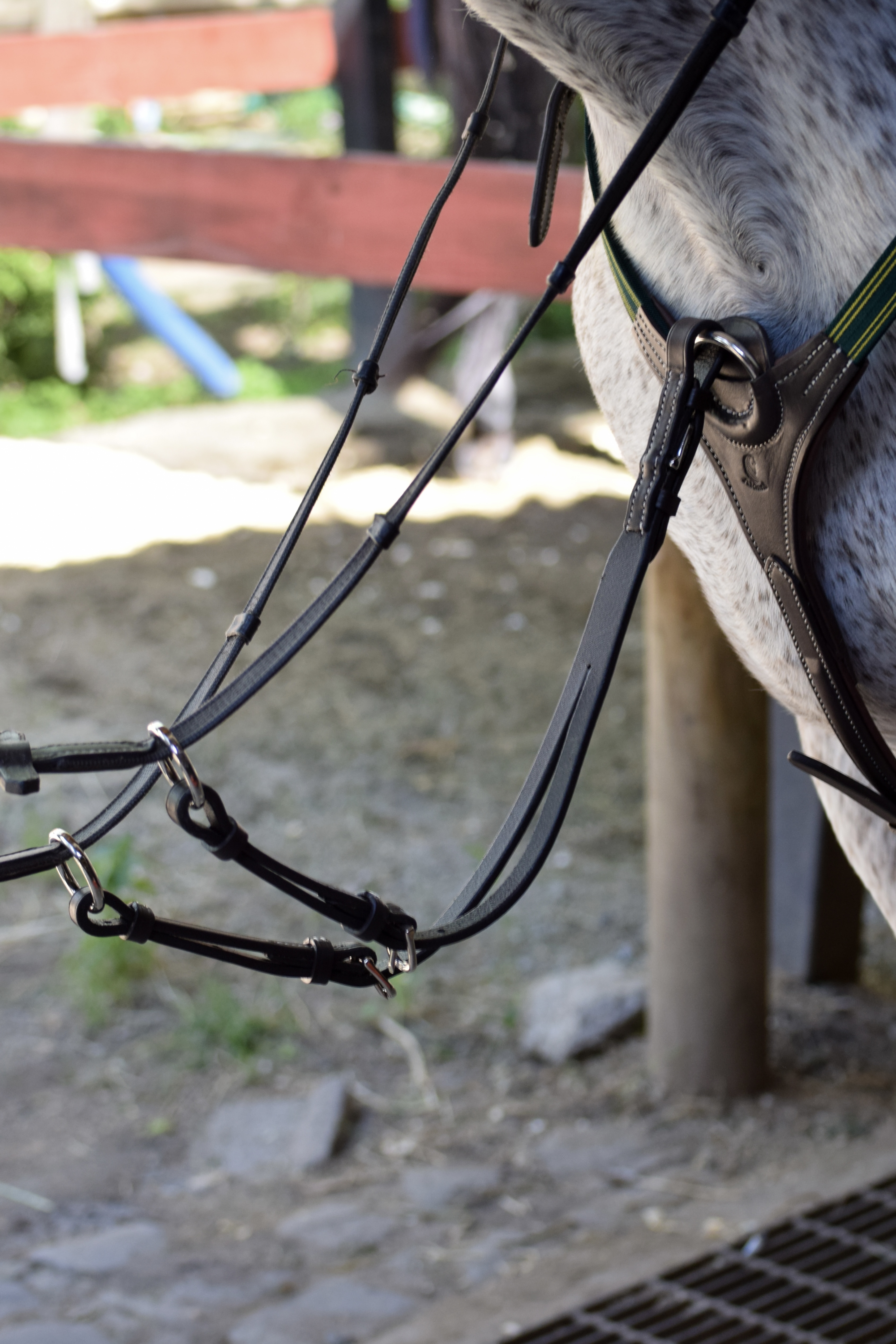 Pretal Elástico  Select 2