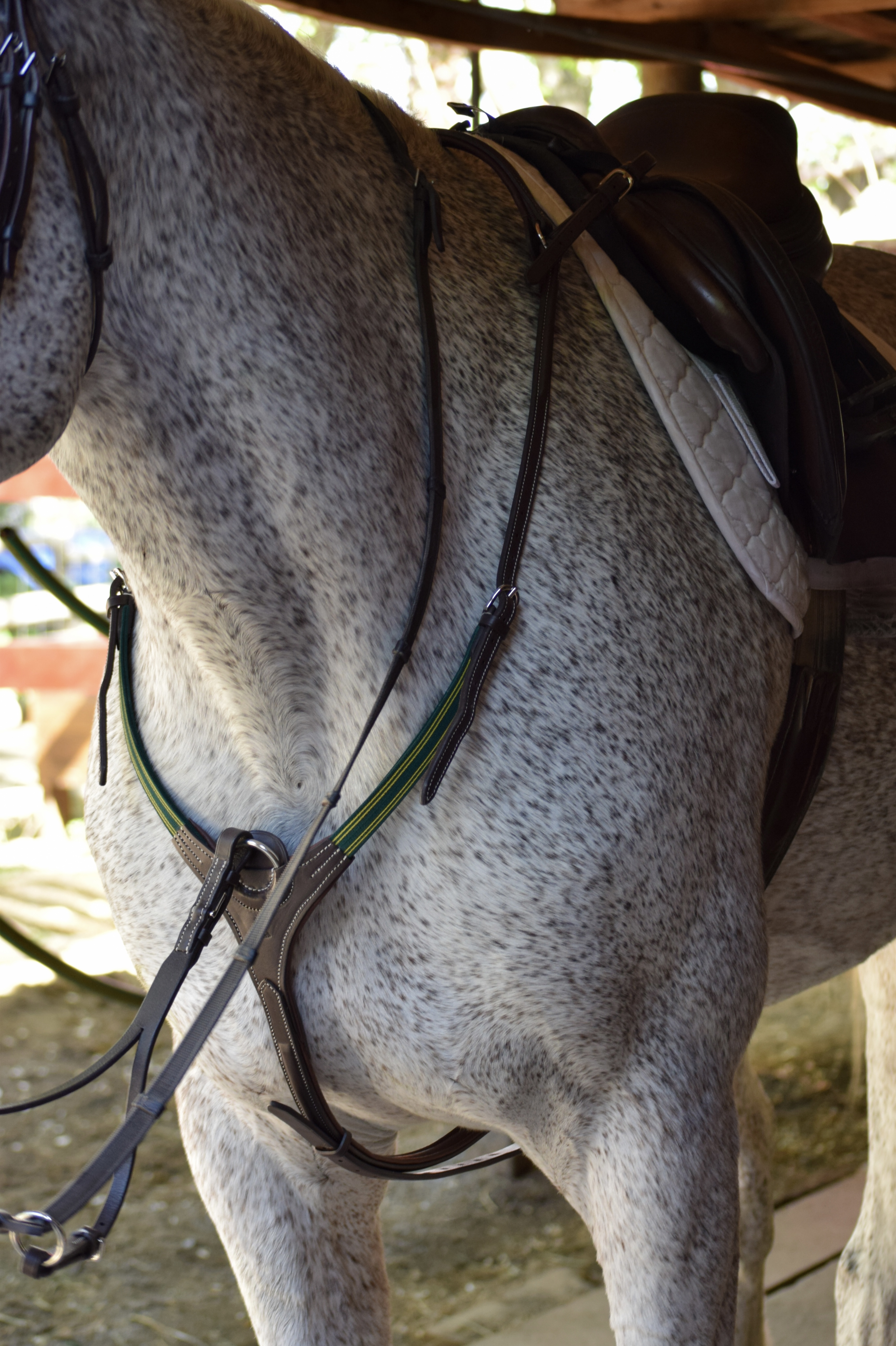 Pretal Elástico  Select 1