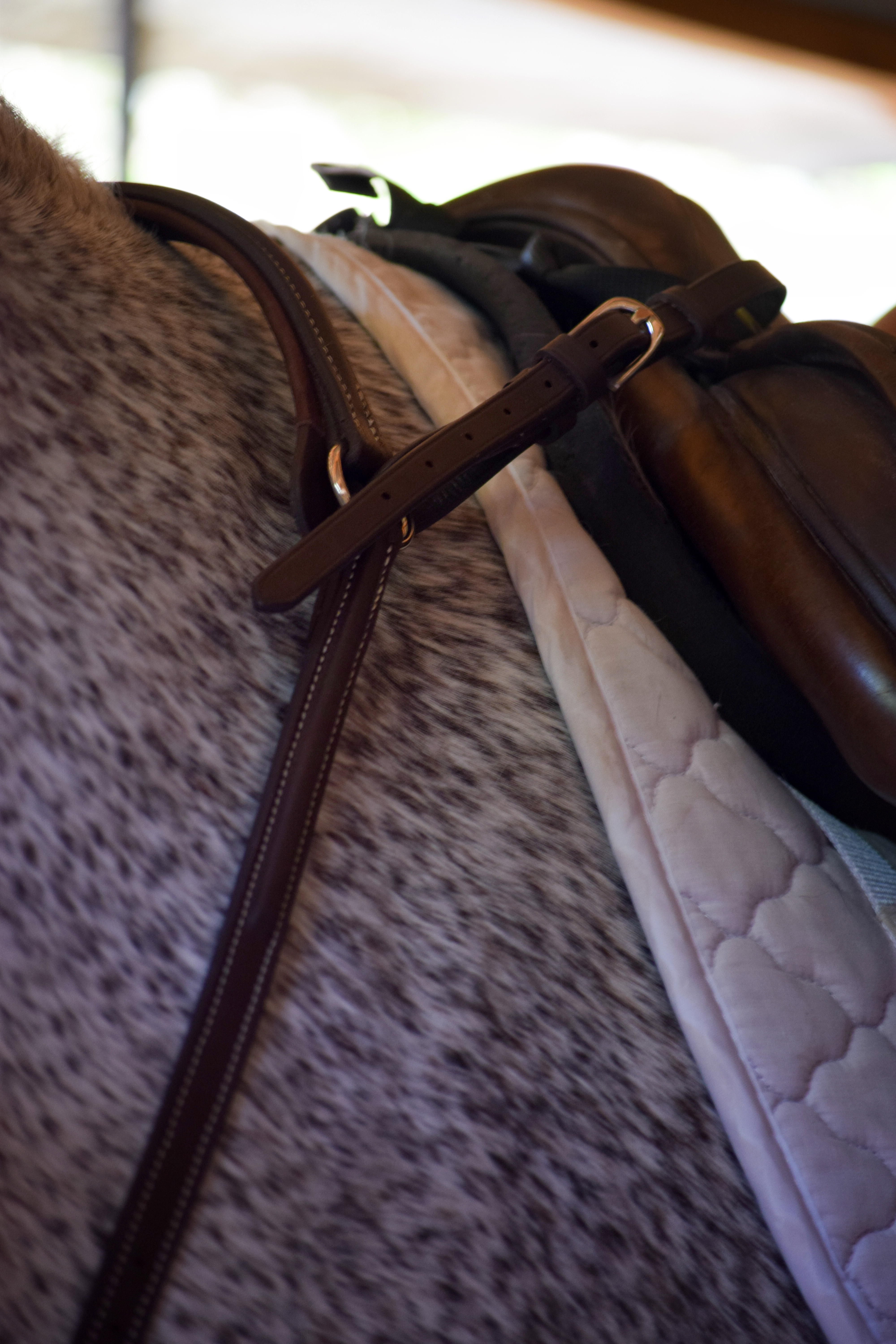 Pretal Elástico  Select 3