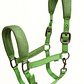 Jáquima 3D Mesh con Cabestro – Verde - Miniatura 3