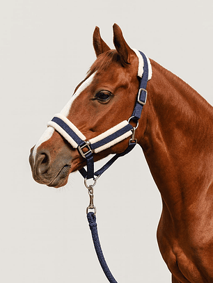 Jáquima Azul con Piel Sintética + Cabestro Trenzado