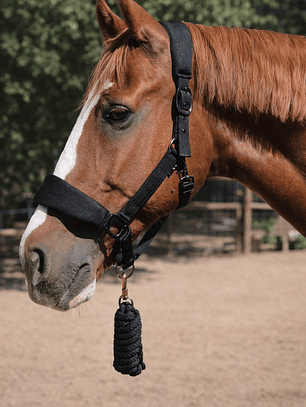 Jáquima 3D Mesh con Cabestro – Negro