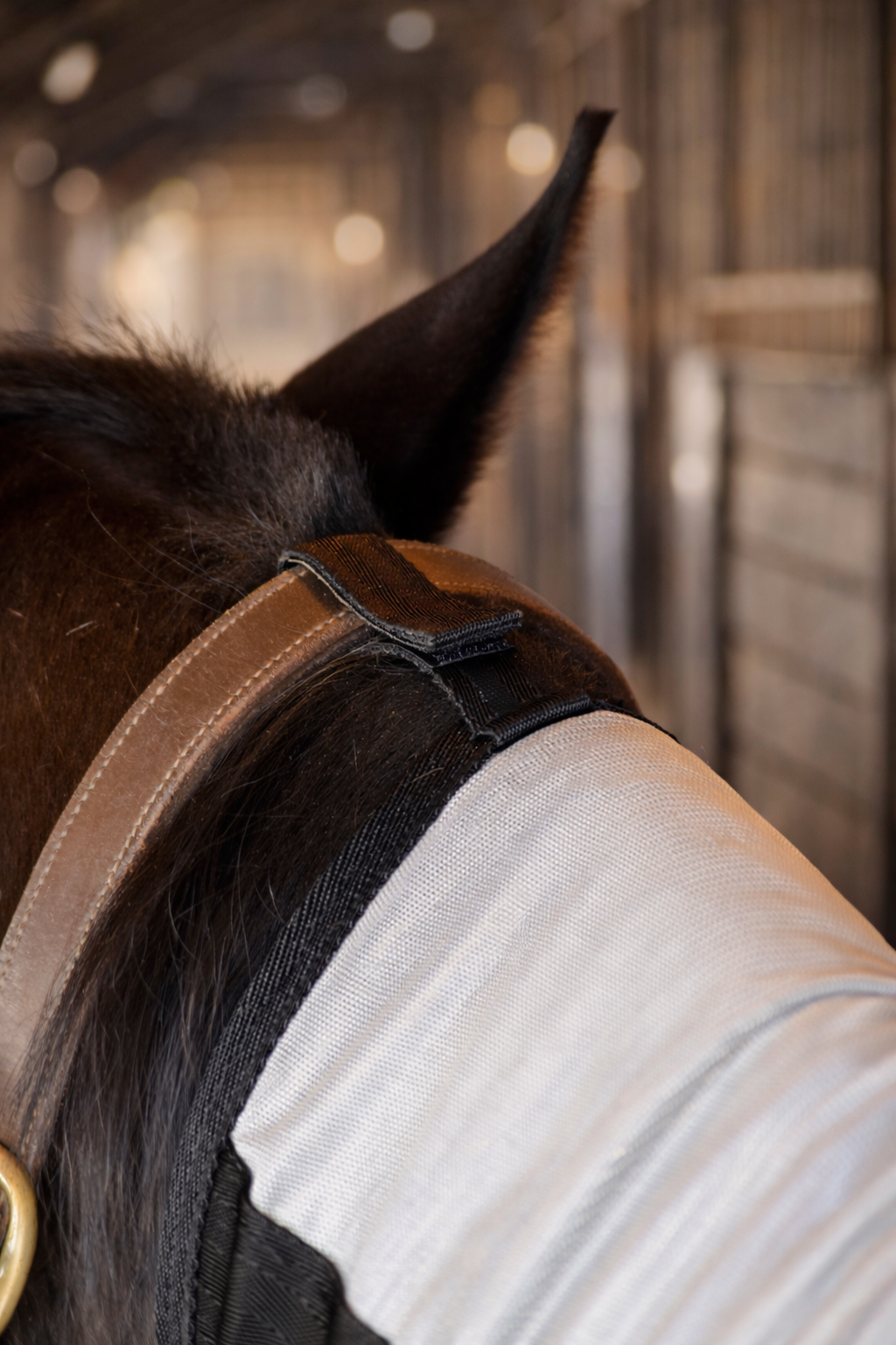 Capa Protectora Contra Insectos con Cuello Desmontable 5